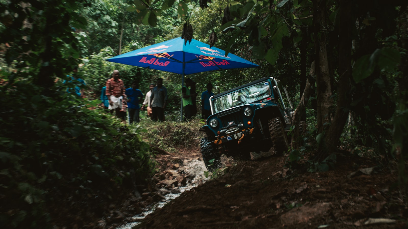 Off-road tracks through tropical jungle