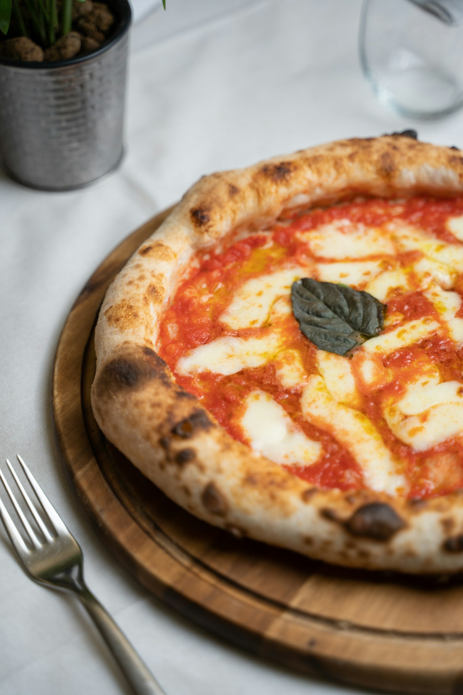 Wood-fired Margherita pizza