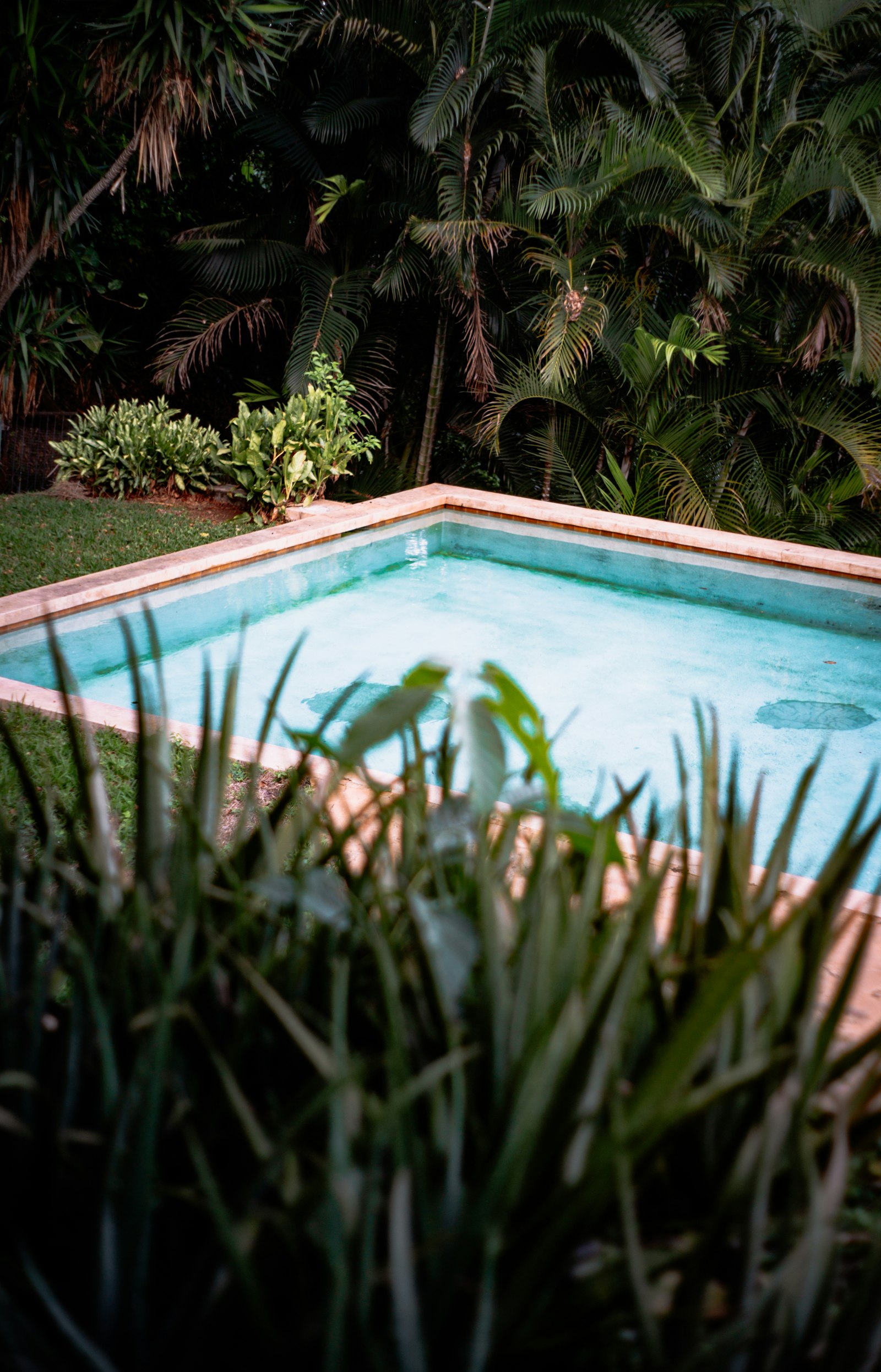 Turquoise jungle pool surrounded by trees, Costa Rica