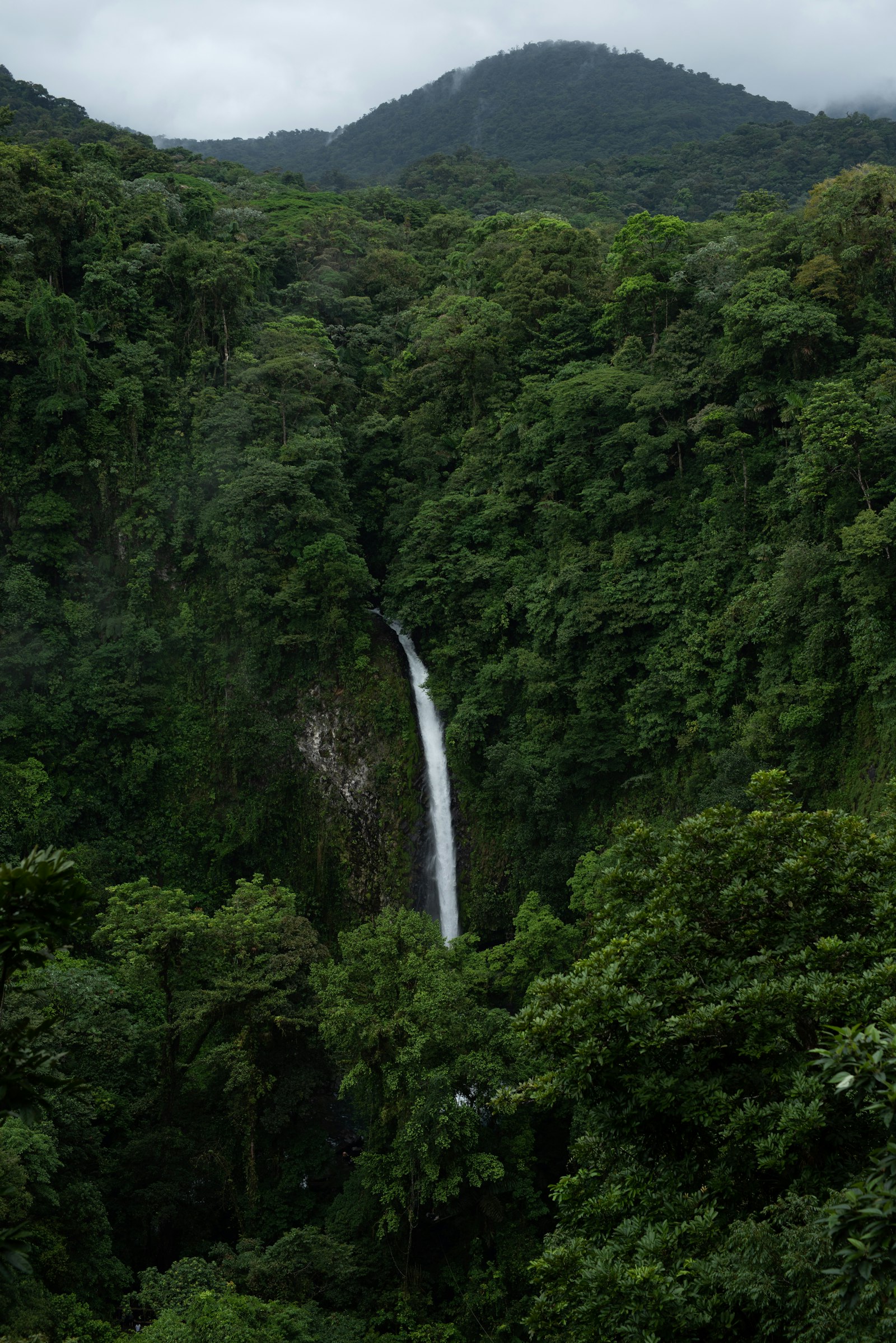 La Fortuna Waterfall plunging through the jungle